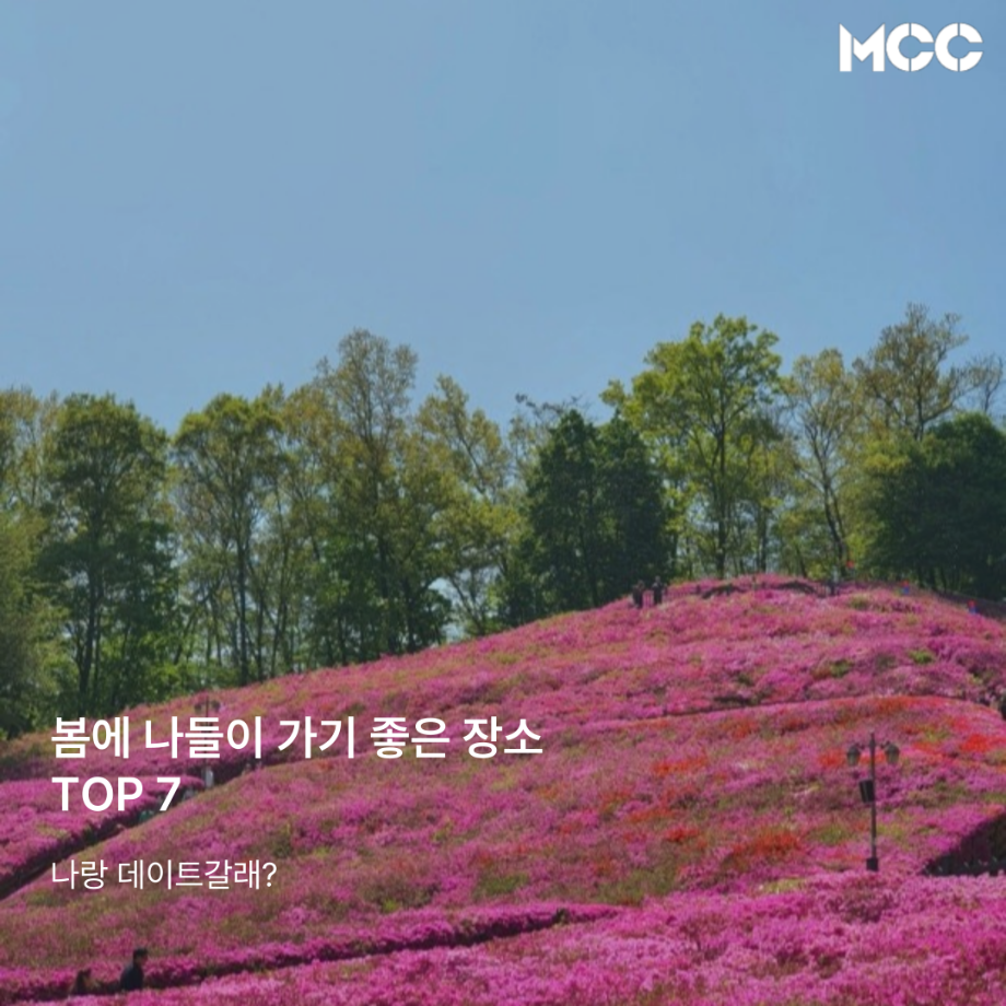 💐봄에 나들이 가기 좋은 장소~!🌸