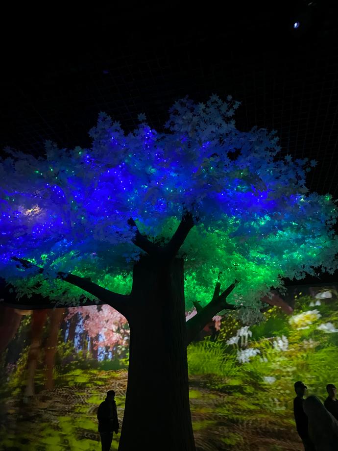 [제천투어] 제천투어_청풍호