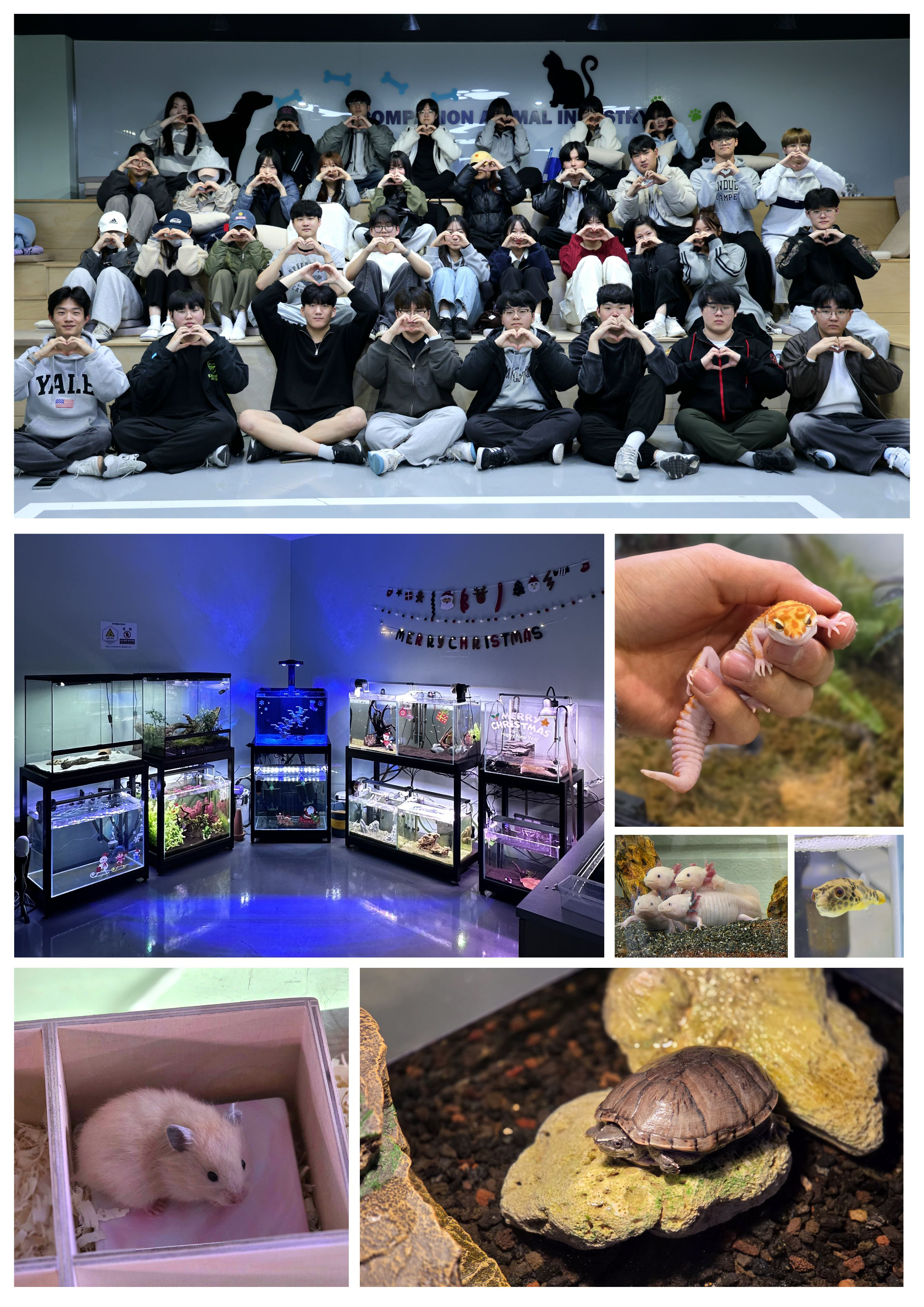 더아쿠아 동아리 이미지 